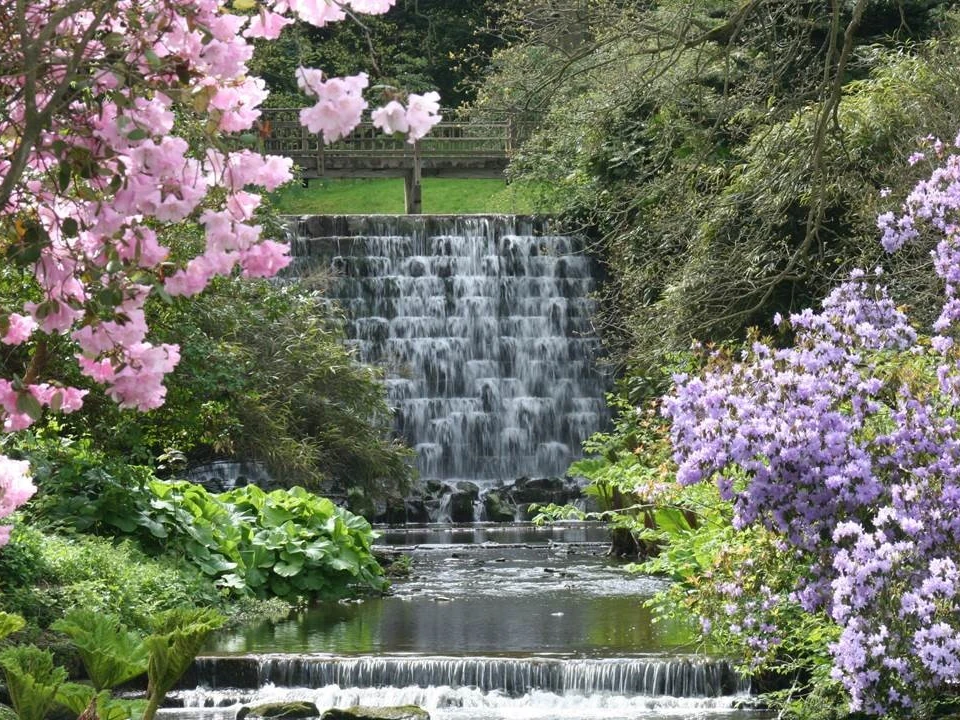 Harewood